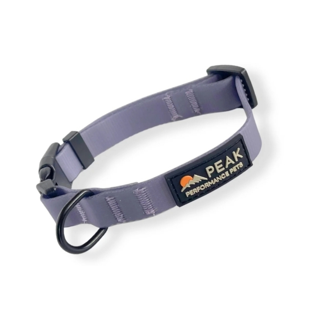 Peak Performance Overlook Dog Collar Twilight Violet Easy Clean Size Small NEW
